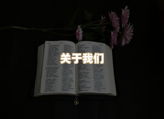关于祯贝教材库